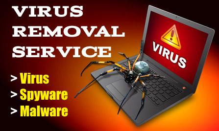I will Remove Spyware, Adware or Virus from your com...