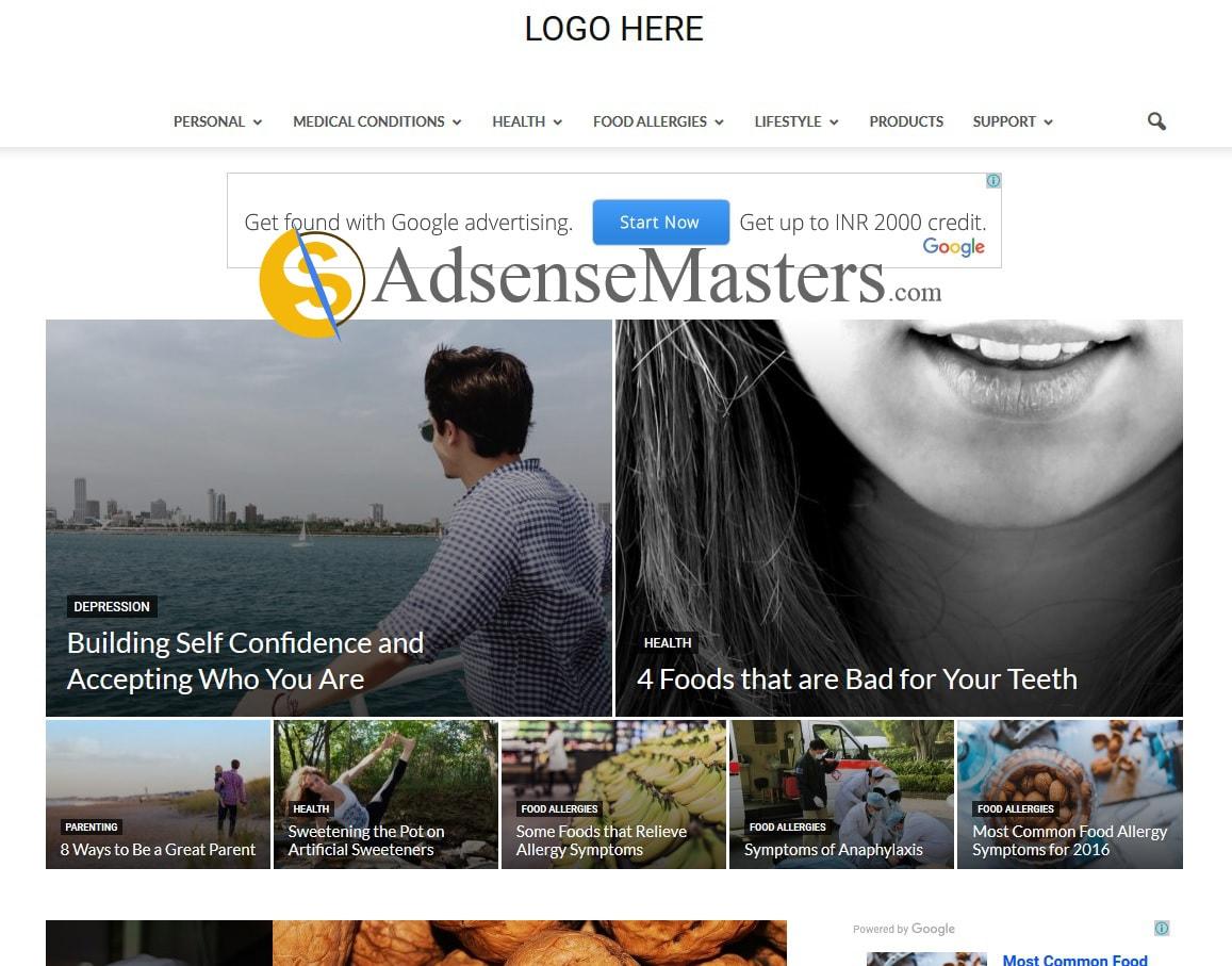 Professional Niches Development - Wordpress - On Page...