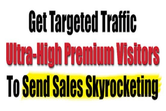 send usa niche targeted, website, traffic, visitors