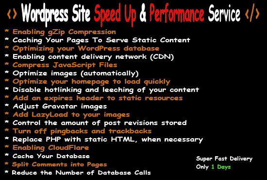 I Wll Speed Up Your Wordpress Site Performance In 12h
