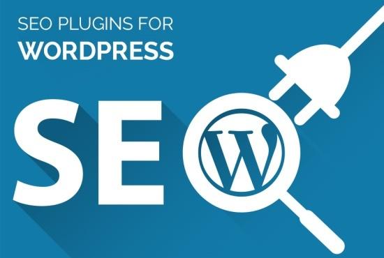 I provide yoast seo for your website