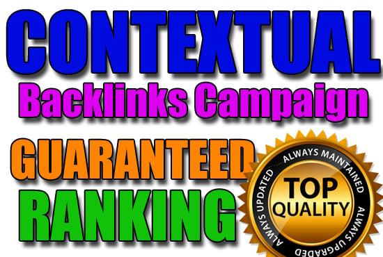 Highly Diversified SEO + SMO with 120 contextual back...