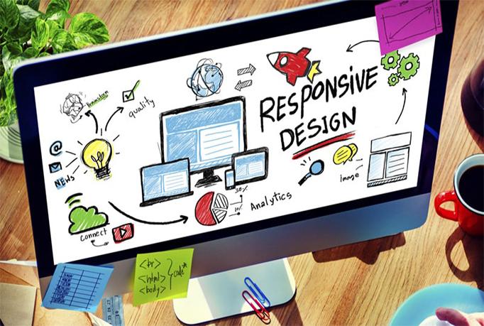 professional wordpress developer