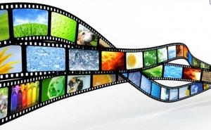 insert 50 new movies into your website with custom su...