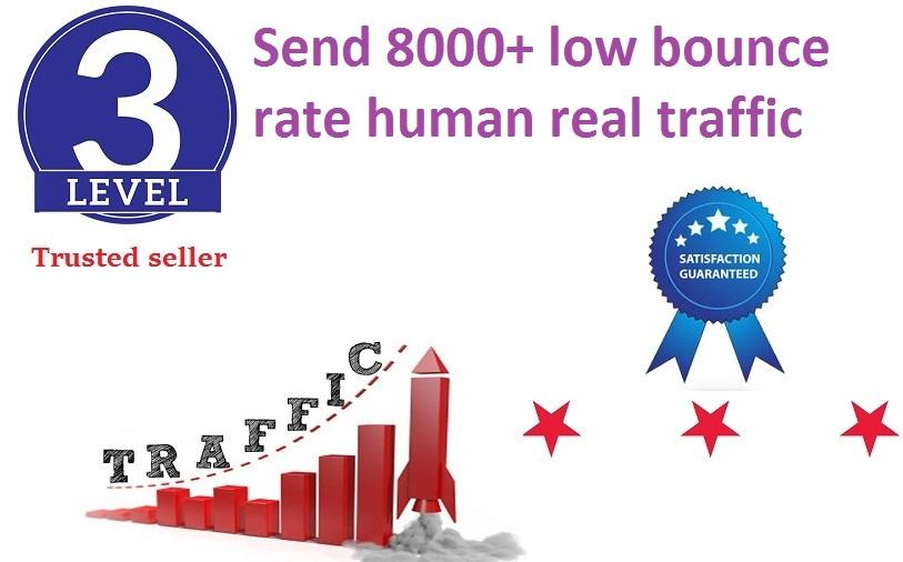 send 8000+ low bounce rate human traffic from google,...