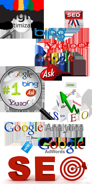Best SEO Service in Cheap Rate- 5 days free Trial