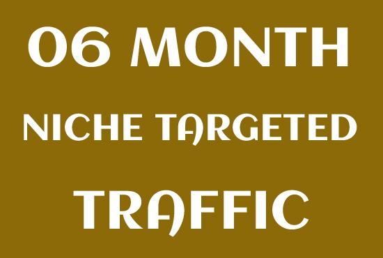 Niche Targeted 06 Month Website Visitors Traffic
