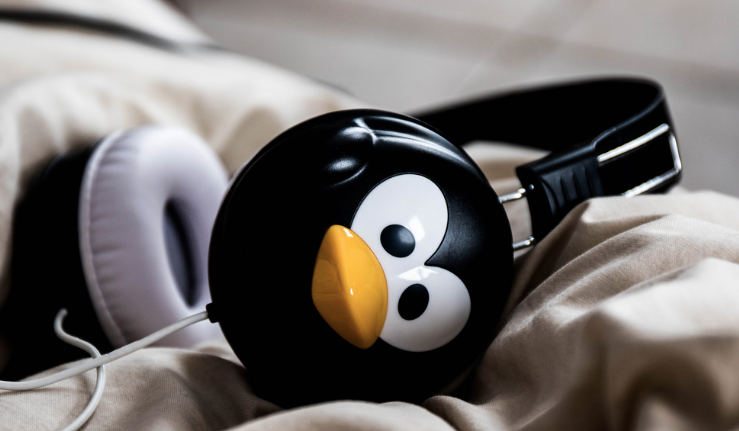 Music Consultation Service