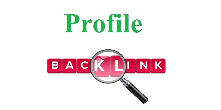 I Manually Build High PR 50 Profile Backlinks