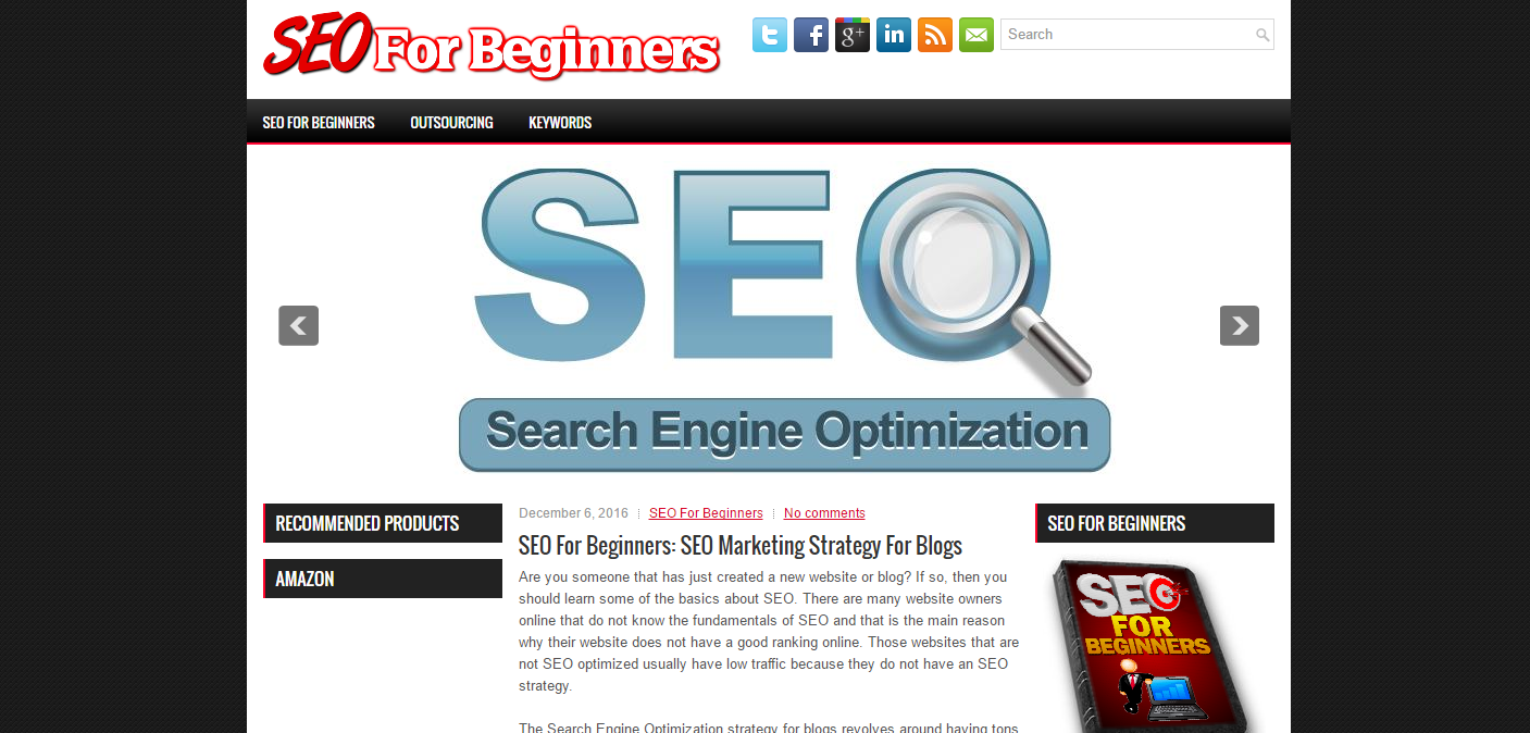SEO For Beginners Niche Blog Script