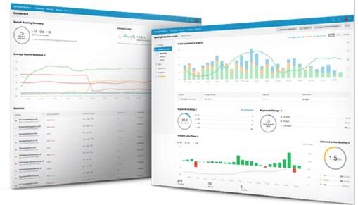 perform an SEO Audit of your current website home pag...