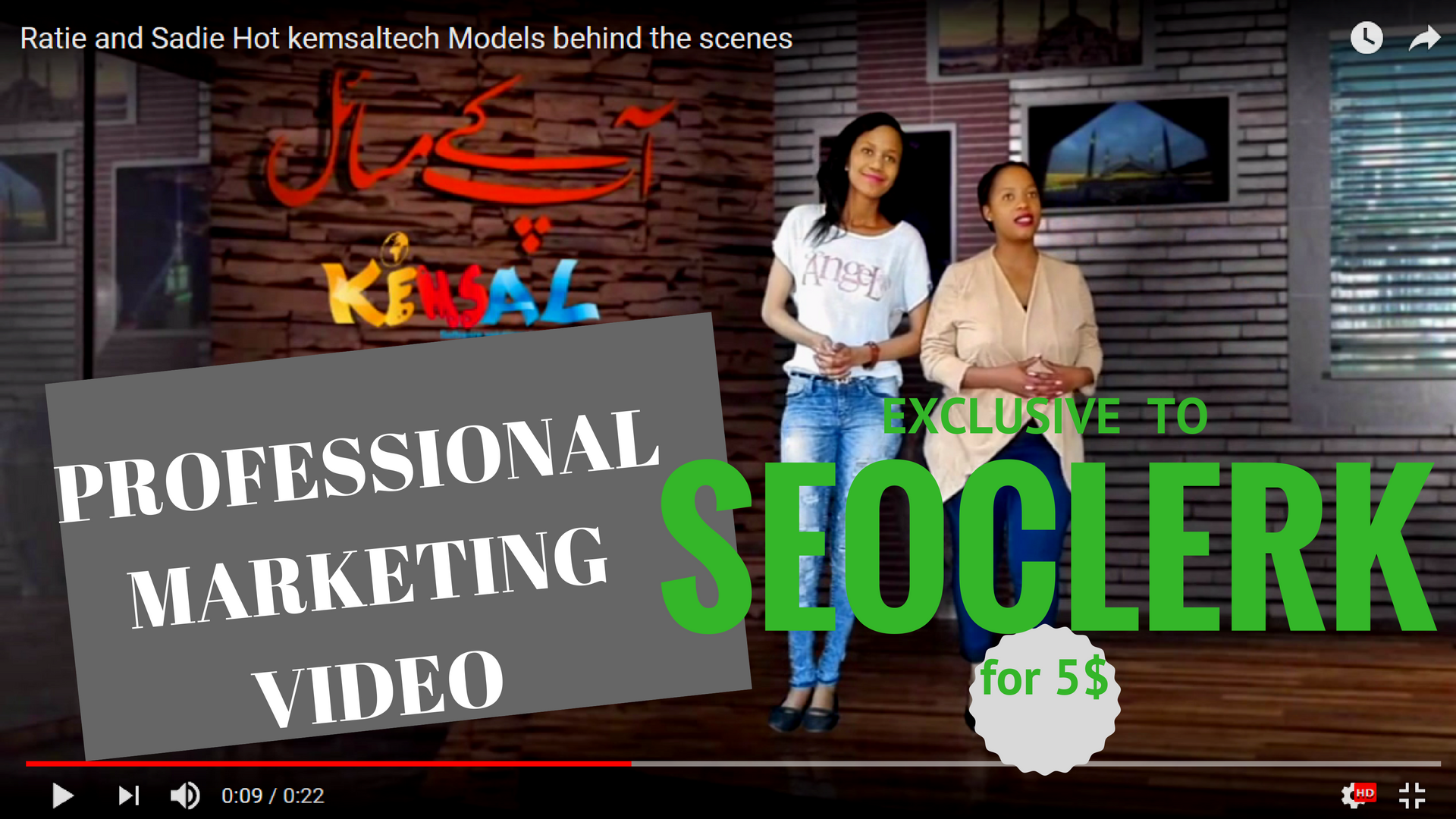 PROFESSIONAL marketing video to make company look wor...