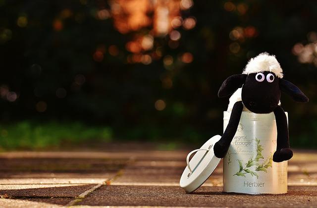 Make 30 seconds Professional Animated Videos