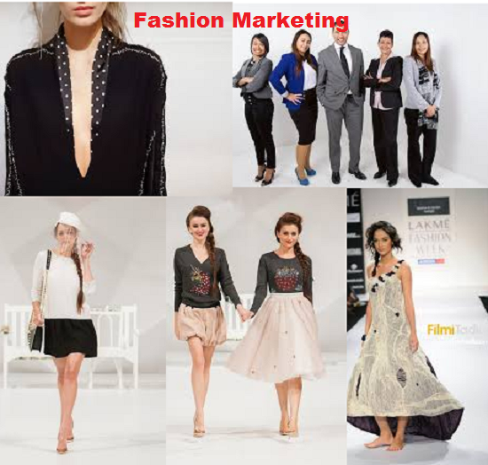 How can you Update Fashion Idea in the Term of Fashio...