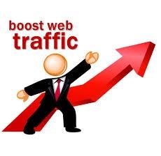 Real website traffics to your website or domain URL