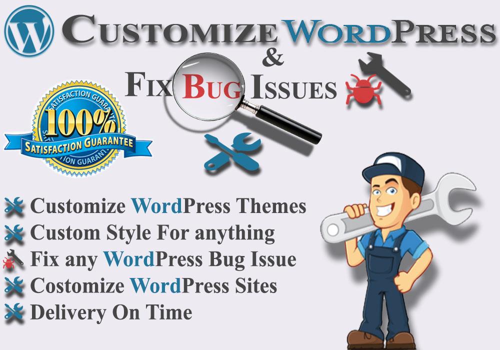Install and customize WordPress theme and fixes bug i...