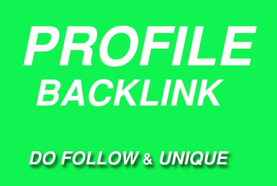 promote 30 high quality backlinks in your website