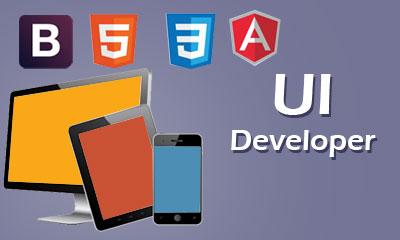 Web Application Development & UI Development with...