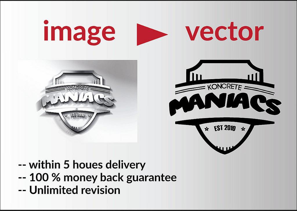 convert jpg, png, image to vector within 5 hours