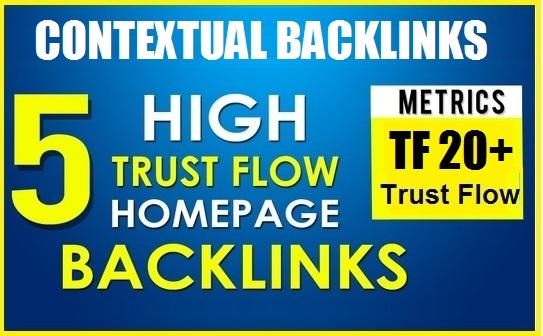 5 PBN Backlinks TF 20+ Permanent Homepage With Conten...