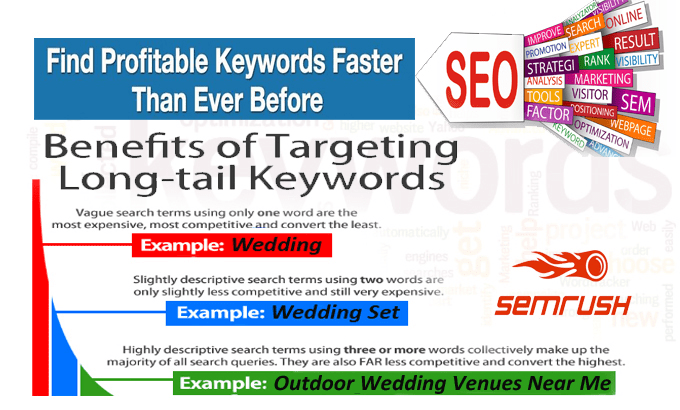 give you 20 Long Tail Keyword good score from your Ni...