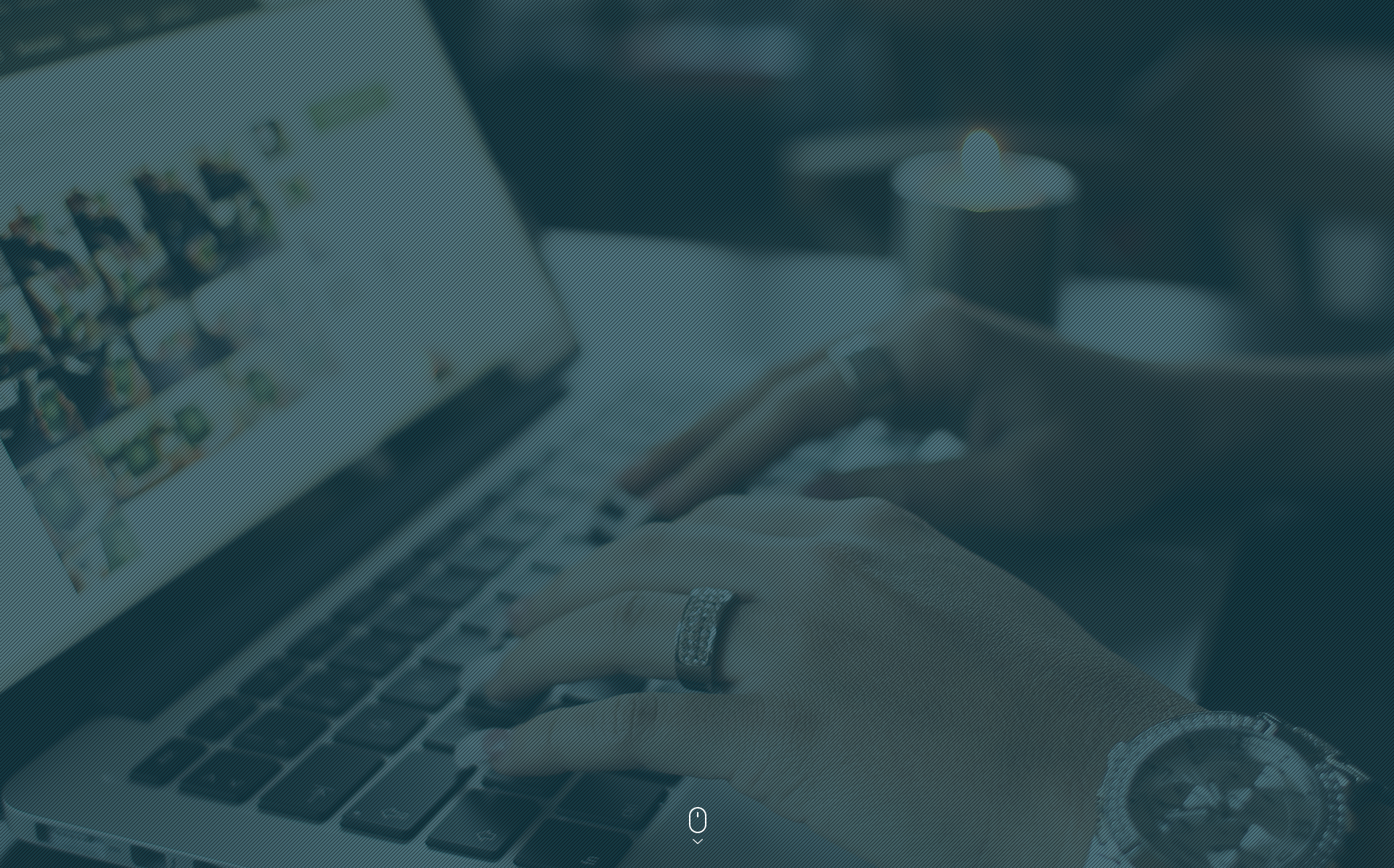 install wordpress, theme customization, setup free wo...