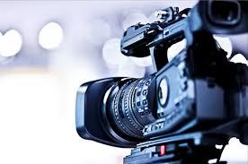 Produce A Professional 3d Lyrics or original Music Vi...