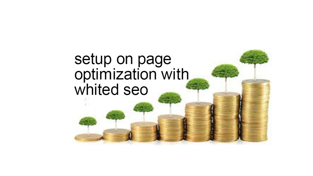 setup on page optimization with whited seo 100 qualit...