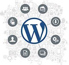 fix Wordpress errors, bugs, problems and customize ...