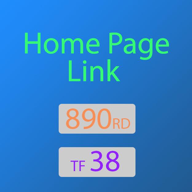 38TF Permanent Do-Follow Home Page Backlink from a RE...