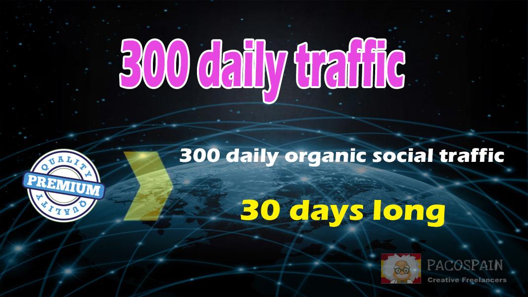 300 organic & social WEB TRAFFIC for your site