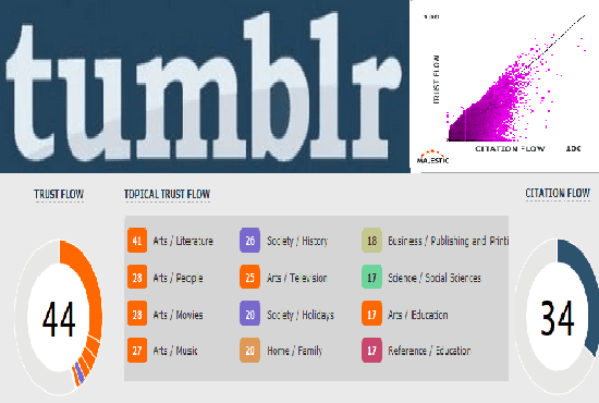 5 high quality tumblr PBN backlinks DA98+ PA28+ TF2+ ...