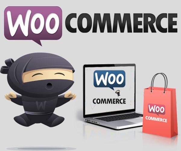 Design responsive SEO friendly Woocommerce website