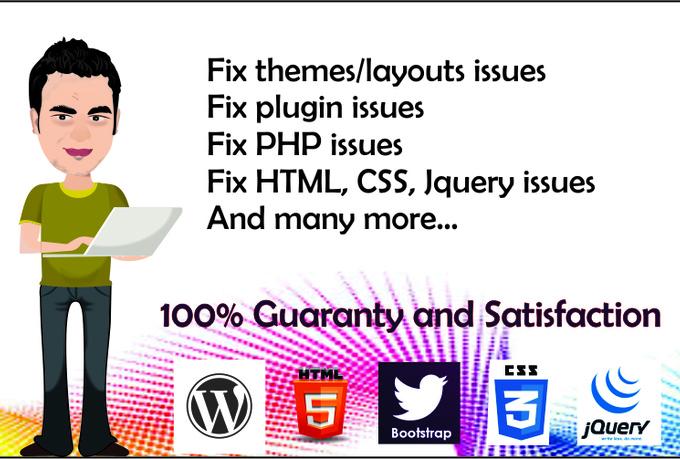 Fix Wordpress Errors, Issues, Problems And Design T...