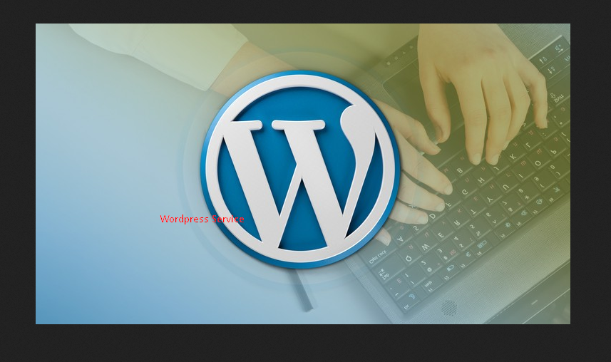 I'll solve your wordpress error