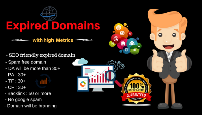 SEO Friendly Expired Domain With High Metrics