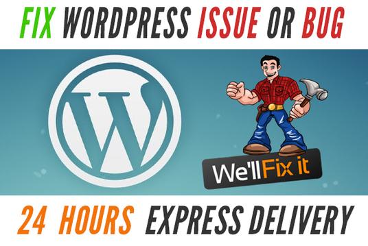 Fix WordPress Issues, Errors Or Problems