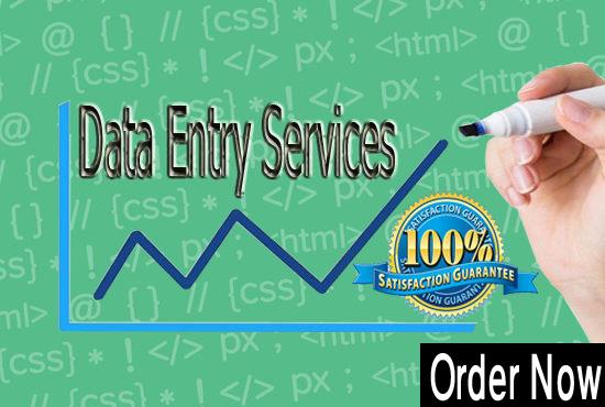 I can Do Any Data Entry Jobs