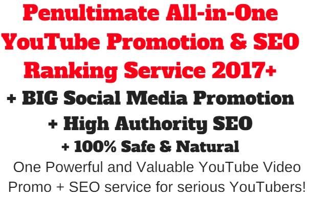 All-in-One YouTube Promotion & SEO Ranking Servic...
