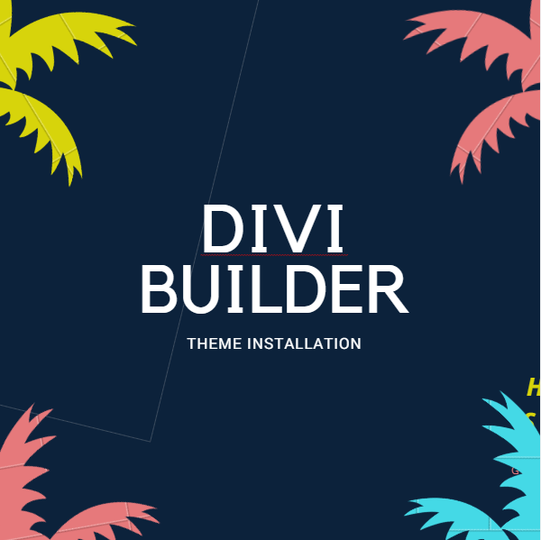Divi Page Builder Theme Install Service on your Wordp...