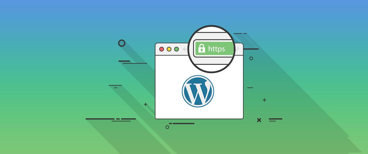 Customize Your Wordpress Theme With Page Builder for ...