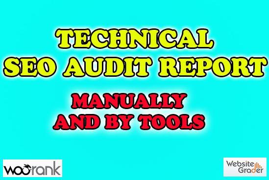 Provide SEO Audit Report You And Your Competitor Word...