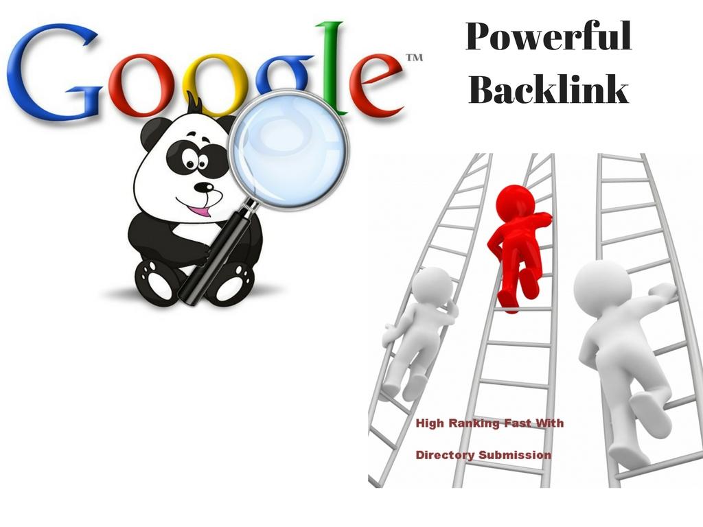 100 Directory submission with in 12 hours pr 3 upto p...