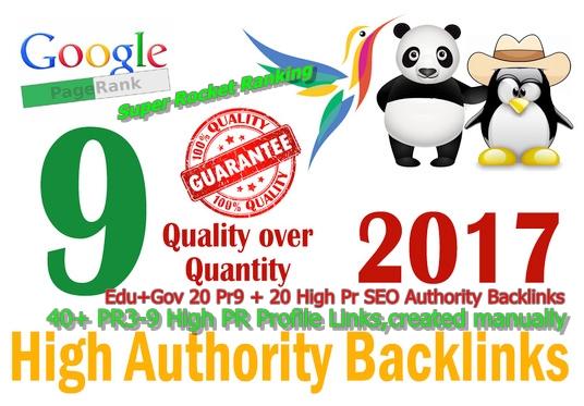 I will manually do High Pr SEO Profile 40 and 20 Pr9 ...