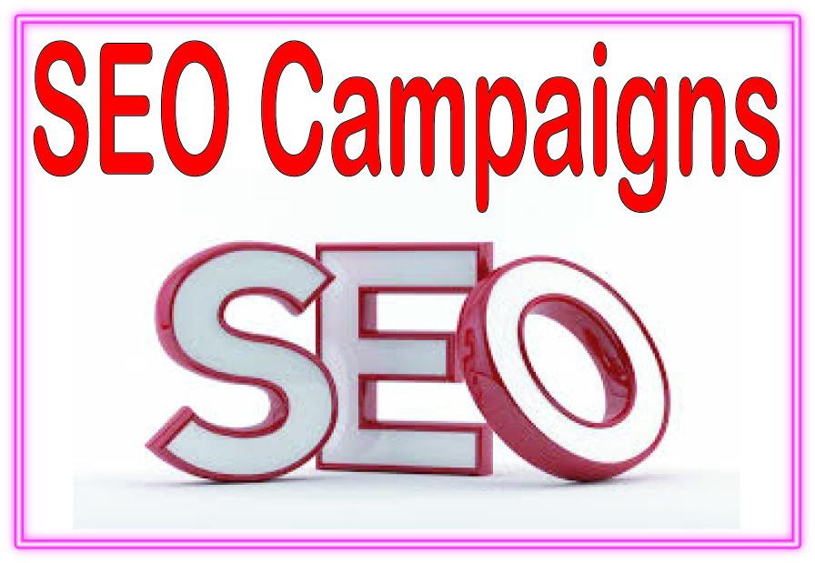 SEO Campaigns- Web 2.0 blogs Dedicated accounts -DA D...