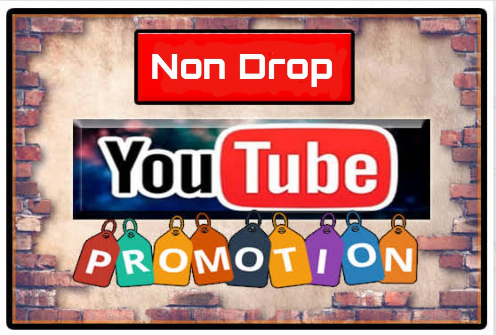 Non Drop Youtube Marketing Safe Video Promotion Via R...