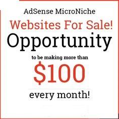 Micro Niche Adsense Websites For Sale.