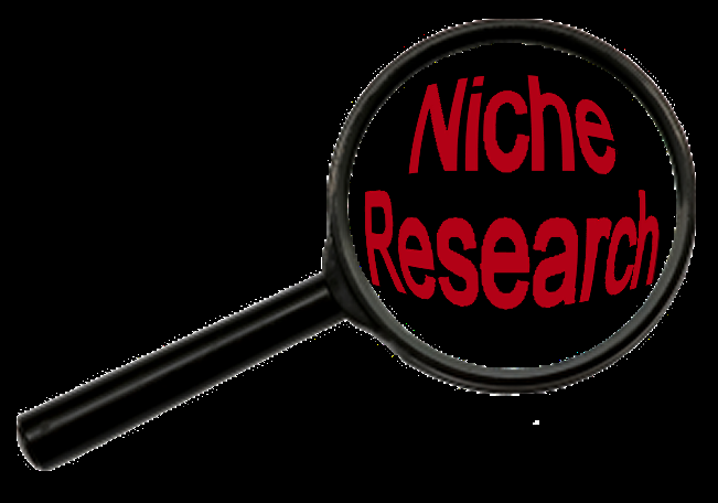 20 Highly Professional Niche Research