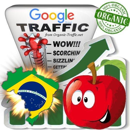 Brasilian Search Traffic from Google. com. br with yo...