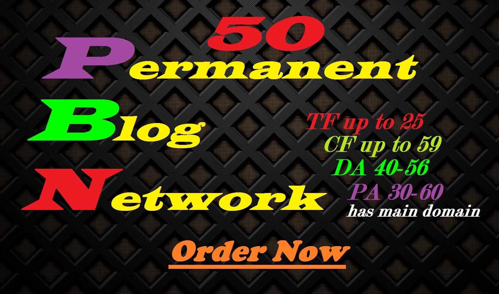 Do 50 Permanent Pbn Blog Post for your site